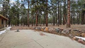 8115 Freeman Drive