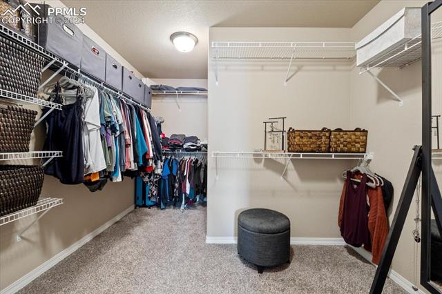 8591 Dry Needle Place