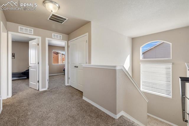 8591 Dry Needle Place