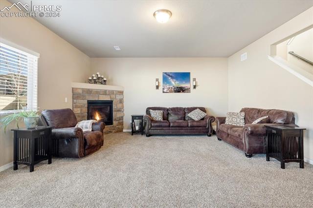 8591 Dry Needle Place