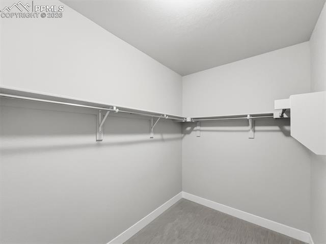 8269 Misty Moon Drive