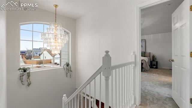 8321 Sedgewick Drive