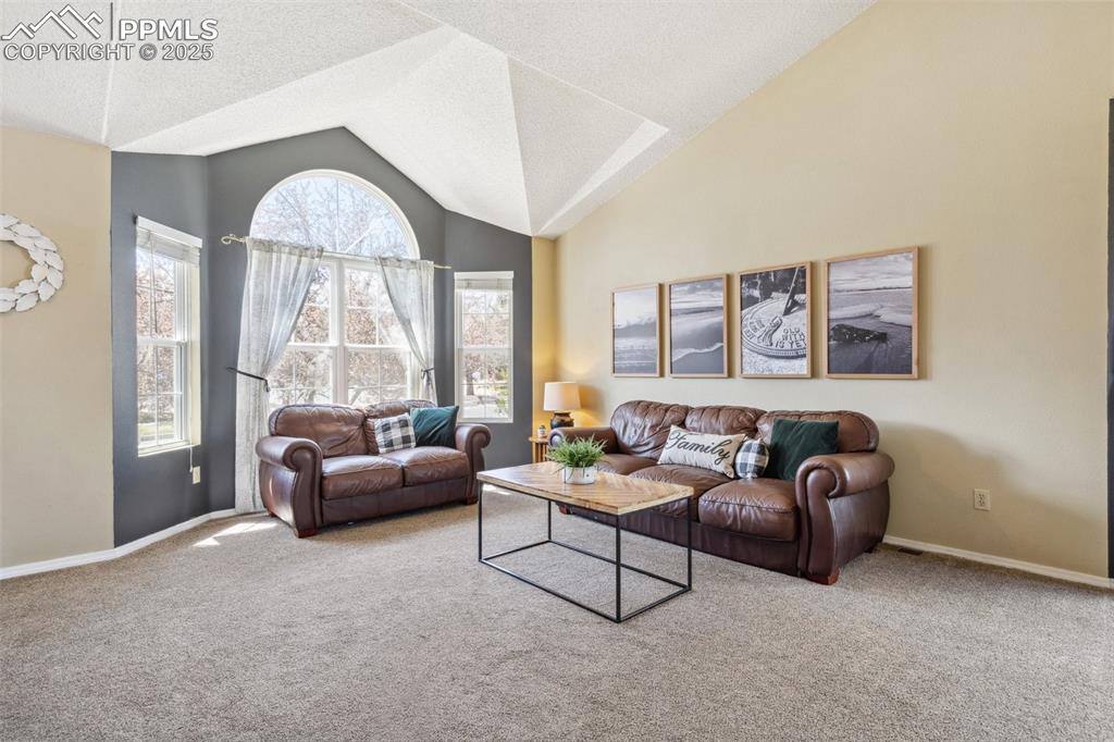 6065 Wheatgrass Drive