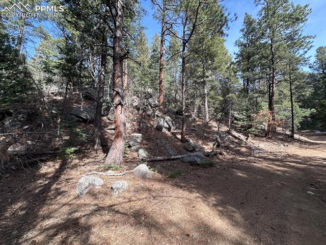 5034 Little Turkey Creek Road