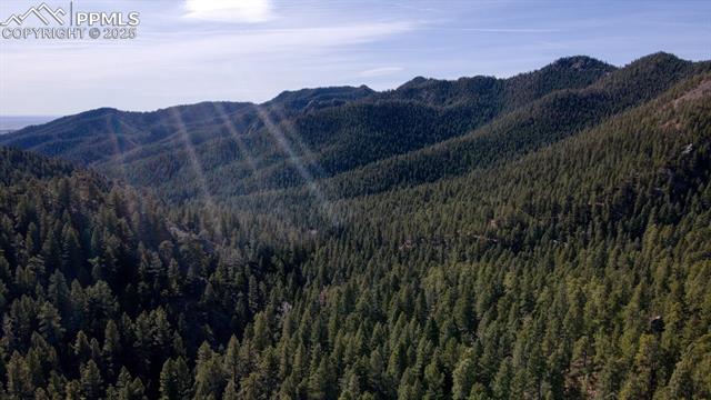 5034 Little Turkey Creek Road