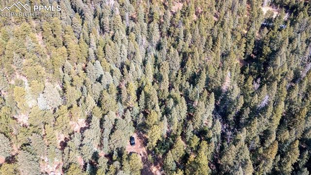 5034 Little Turkey Creek Road