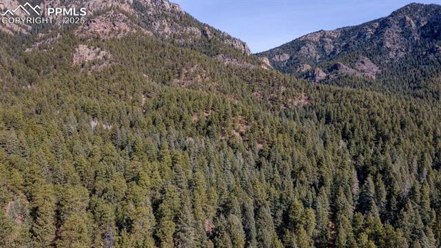 5034 Little Turkey Creek Road