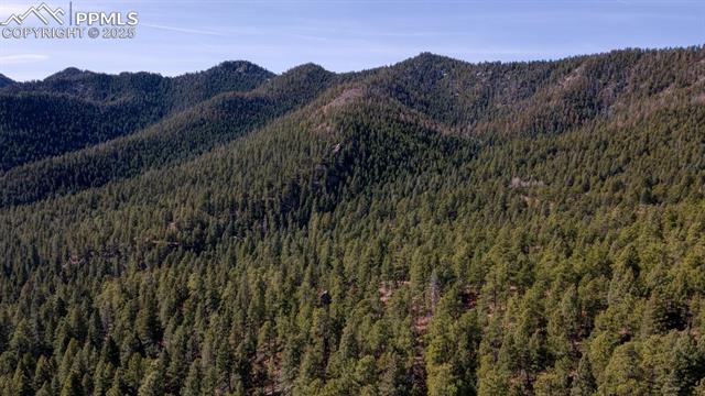 5034 Little Turkey Creek Road