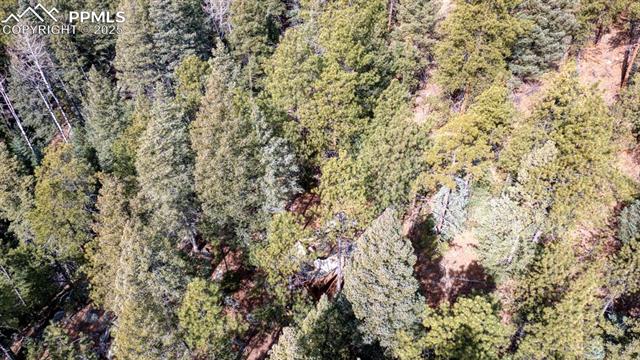 5034 Little Turkey Creek Road