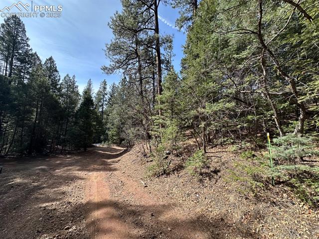 5034 Little Turkey Creek Road