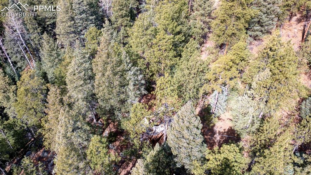 5034 Little Turkey Creek Road