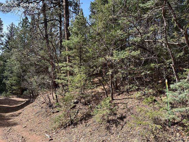 5034 Little Turkey Creek Road