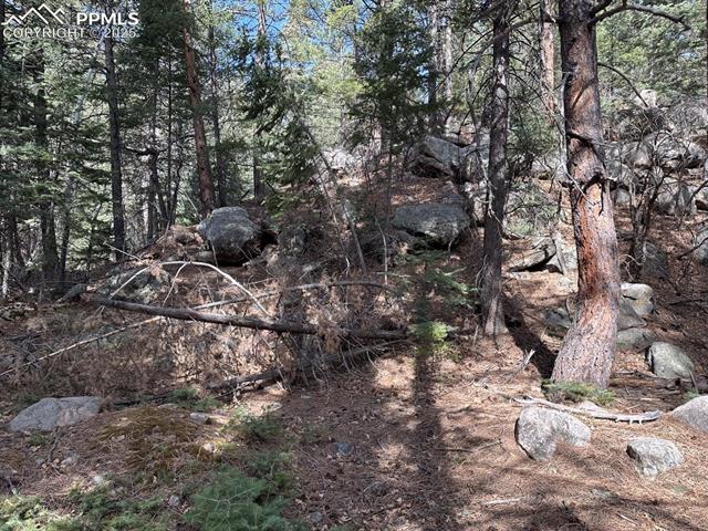 5034 Little Turkey Creek Road