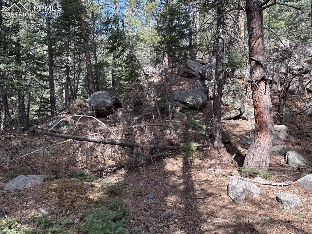 5034 Little Turkey Creek Road