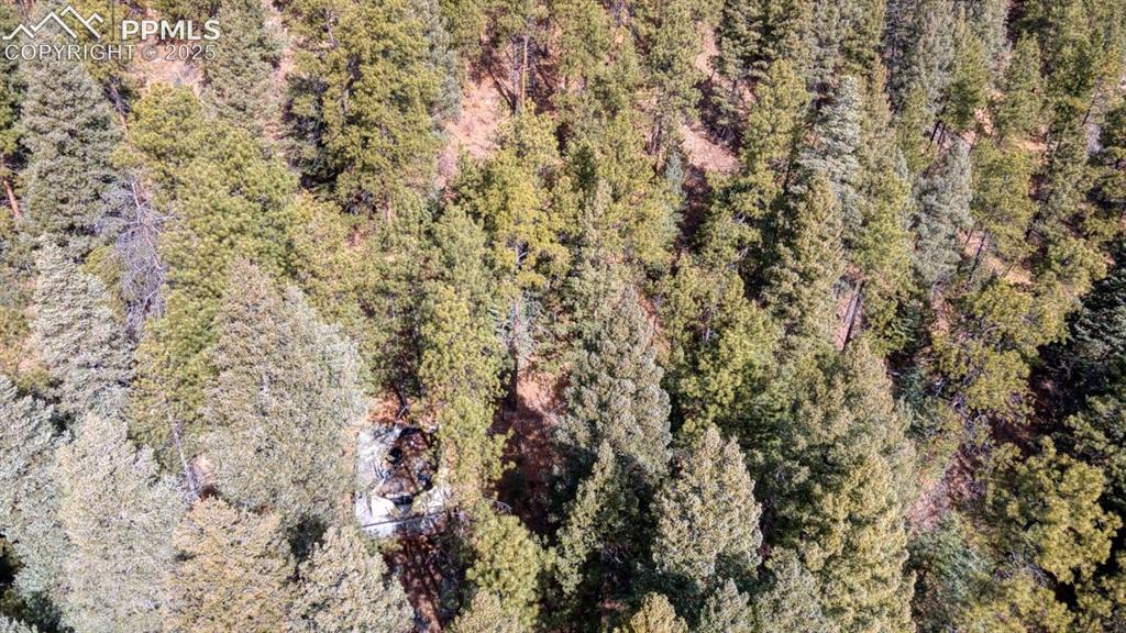 5034 Little Turkey Creek Road