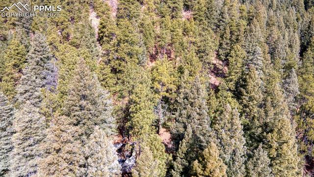 5034 Little Turkey Creek Road