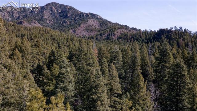 5034 Little Turkey Creek Road