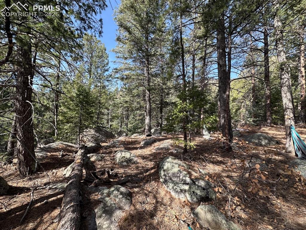 5034 Little Turkey Creek Road