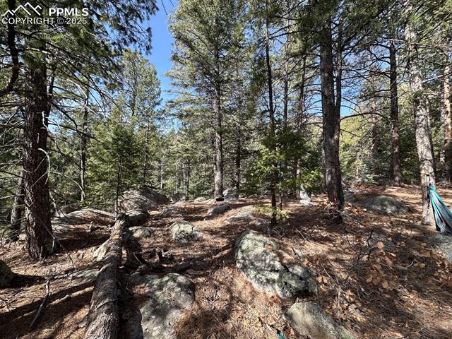 5034 Little Turkey Creek Road