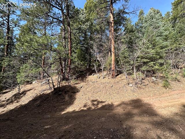 5034 Little Turkey Creek Road