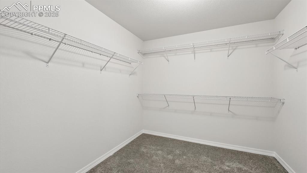 8567 Besson Court