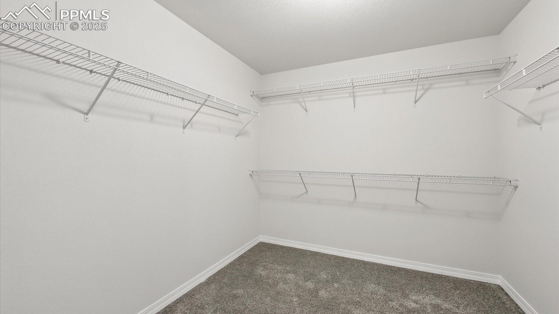 8567 Besson Court