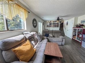 5561 Mosquito Pass Drive