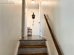 5561 Mosquito Pass Drive