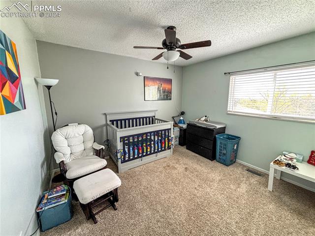 5561 Mosquito Pass Drive