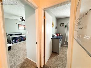 5561 Mosquito Pass Drive