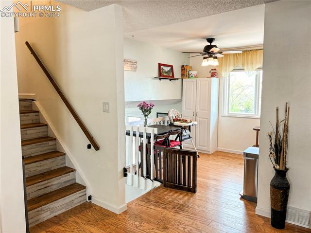 5561 Mosquito Pass Drive