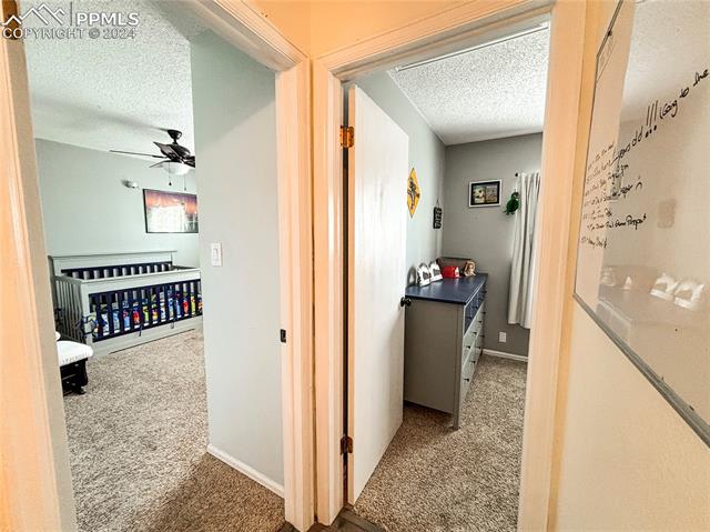 5561 Mosquito Pass Drive