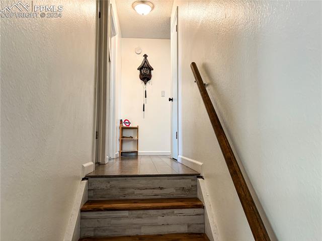 5561 Mosquito Pass Drive