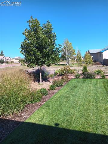 968 S Avenida Del Oro E