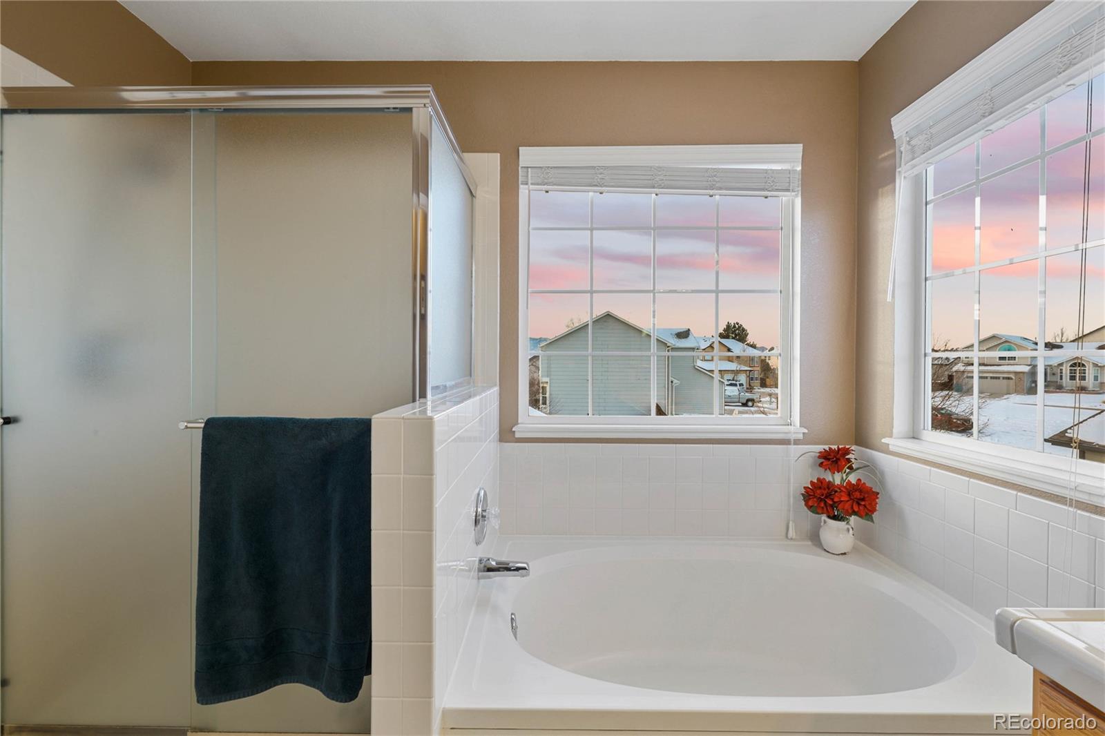 6667 Snowy Range Drive