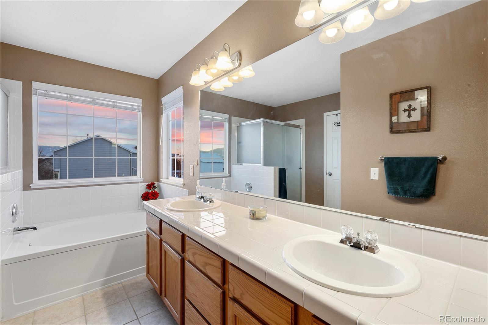 6667 Snowy Range Drive