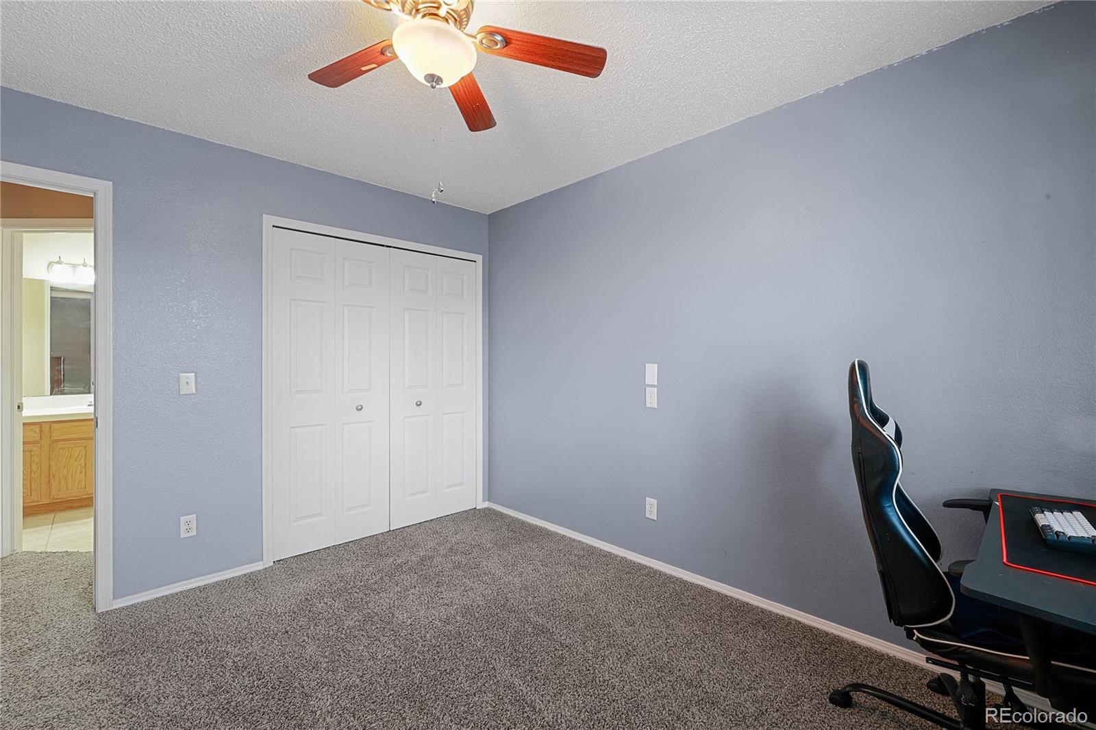 6667 Snowy Range Drive