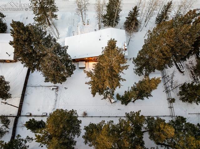 137 Rolling Park Drive