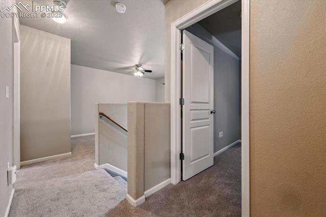 118 Audubon Drive