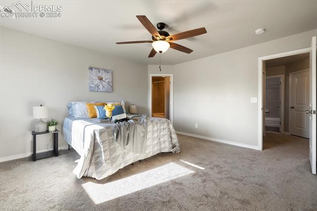 8126 Phyllite Drive