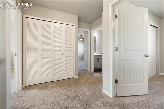 8126 Phyllite Drive