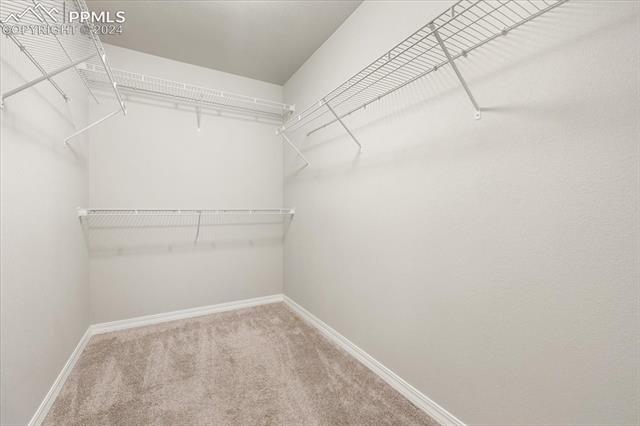 8126 Phyllite Drive