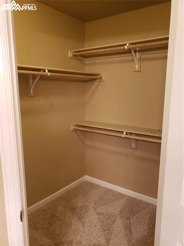 4322 Yellow Dock Point