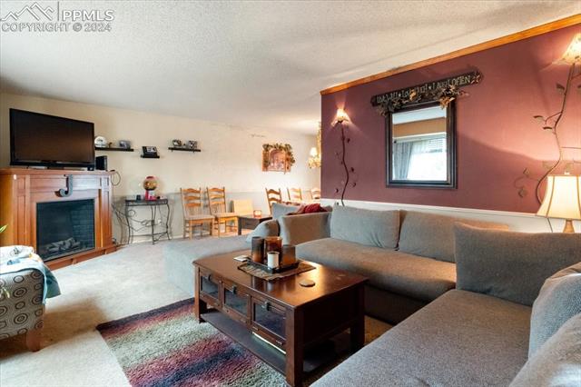 7355 Woody Creek Drive