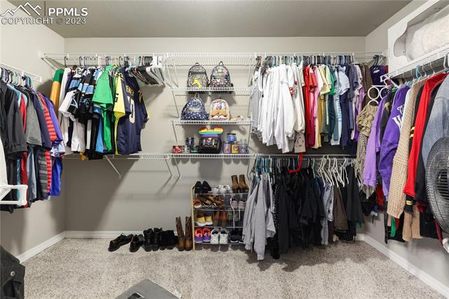 19504 Lindenmere Drive