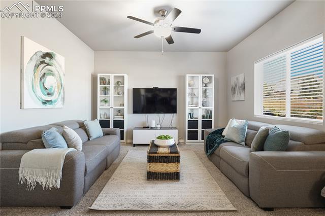 19504 Lindenmere Drive