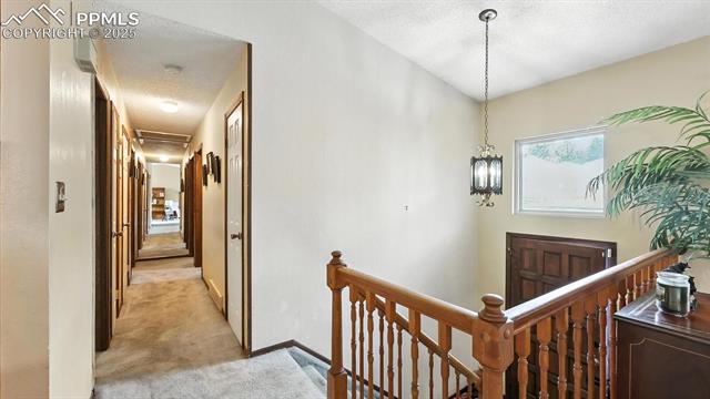 6180 Garlock Way