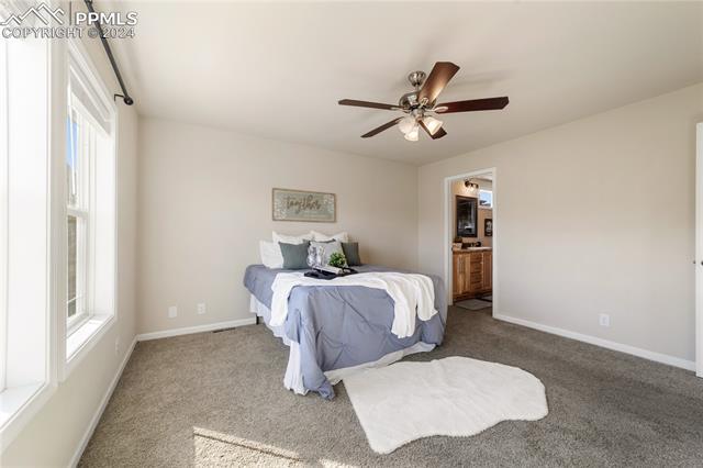 4228 Gray Fox Heights