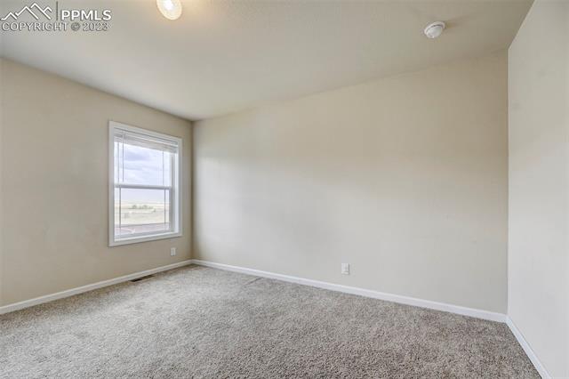 4228 Gray Fox Heights