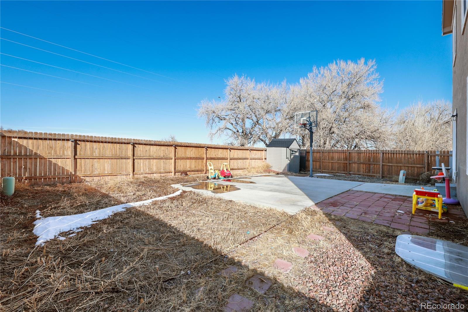 9743 Desert Lily Circle